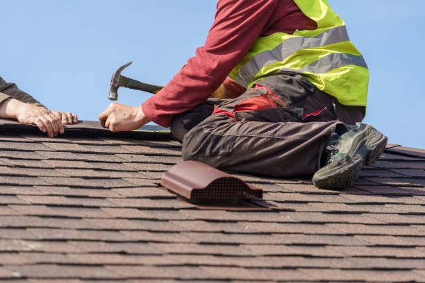 Best Roof Gutter Cleaning  in Frankfort Square, IL