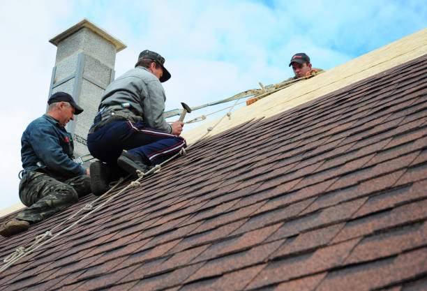 Best New Roof Installation  in Frankfort Square, IL